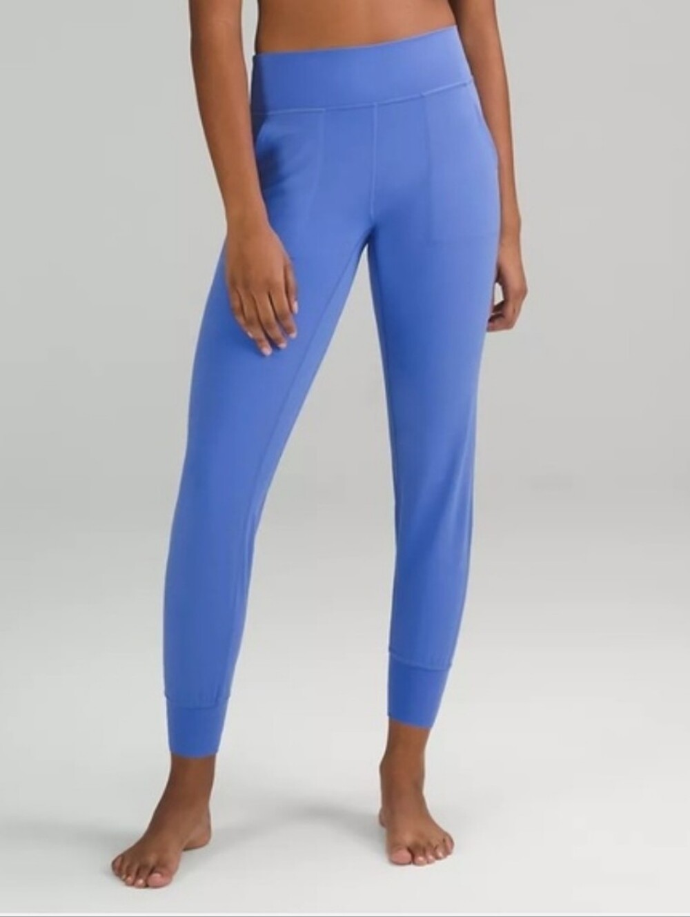 Lululemon Align High-Rise Jogger Full Length In Wild Indigo Suze 10.